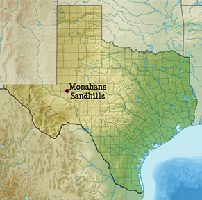 Texas map showing location of Maonahans Sandhills